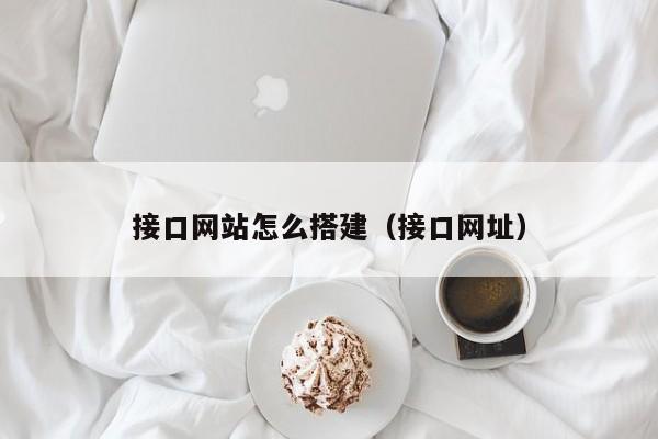 接口网站怎么搭建(接口网址)